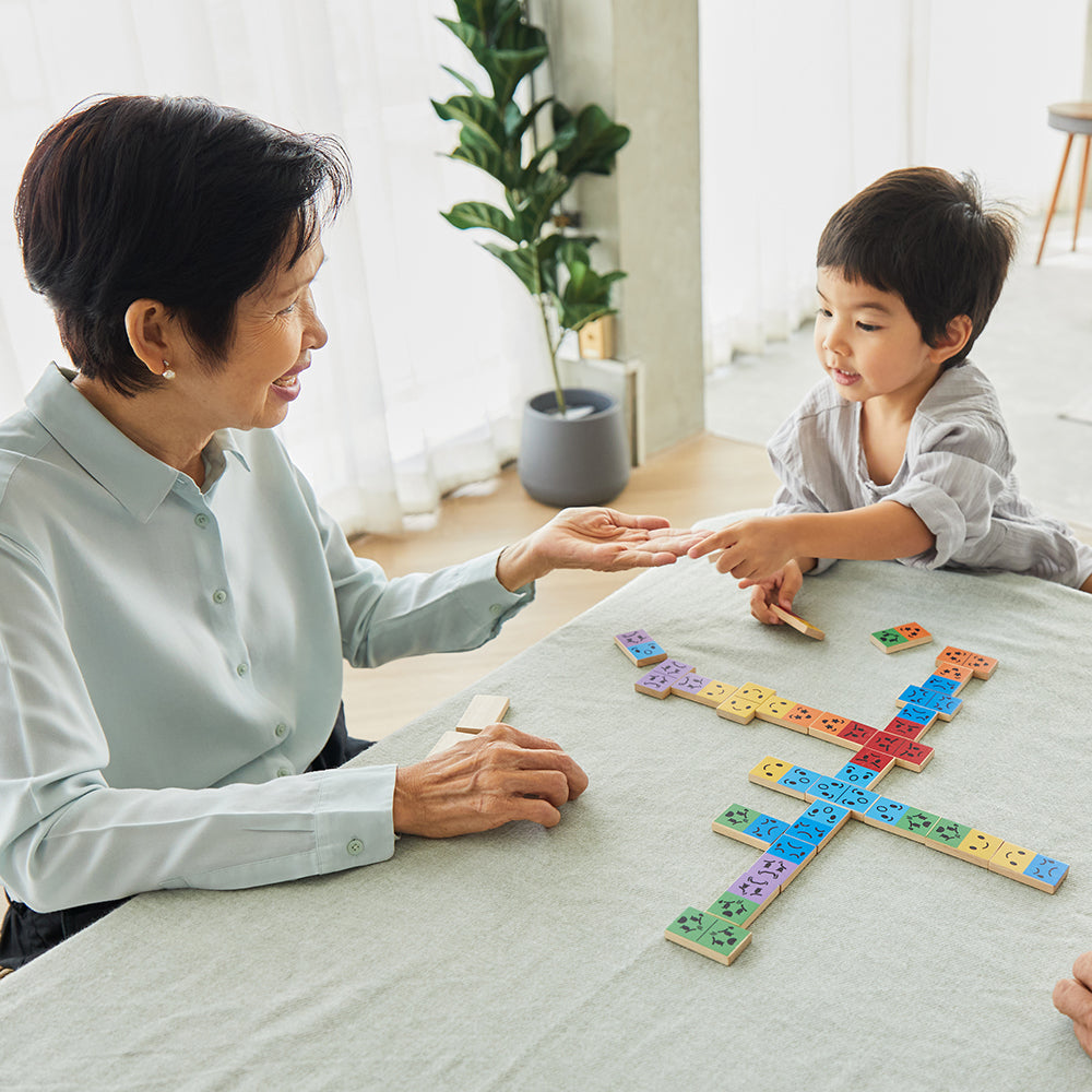 Understanding The Domino Game