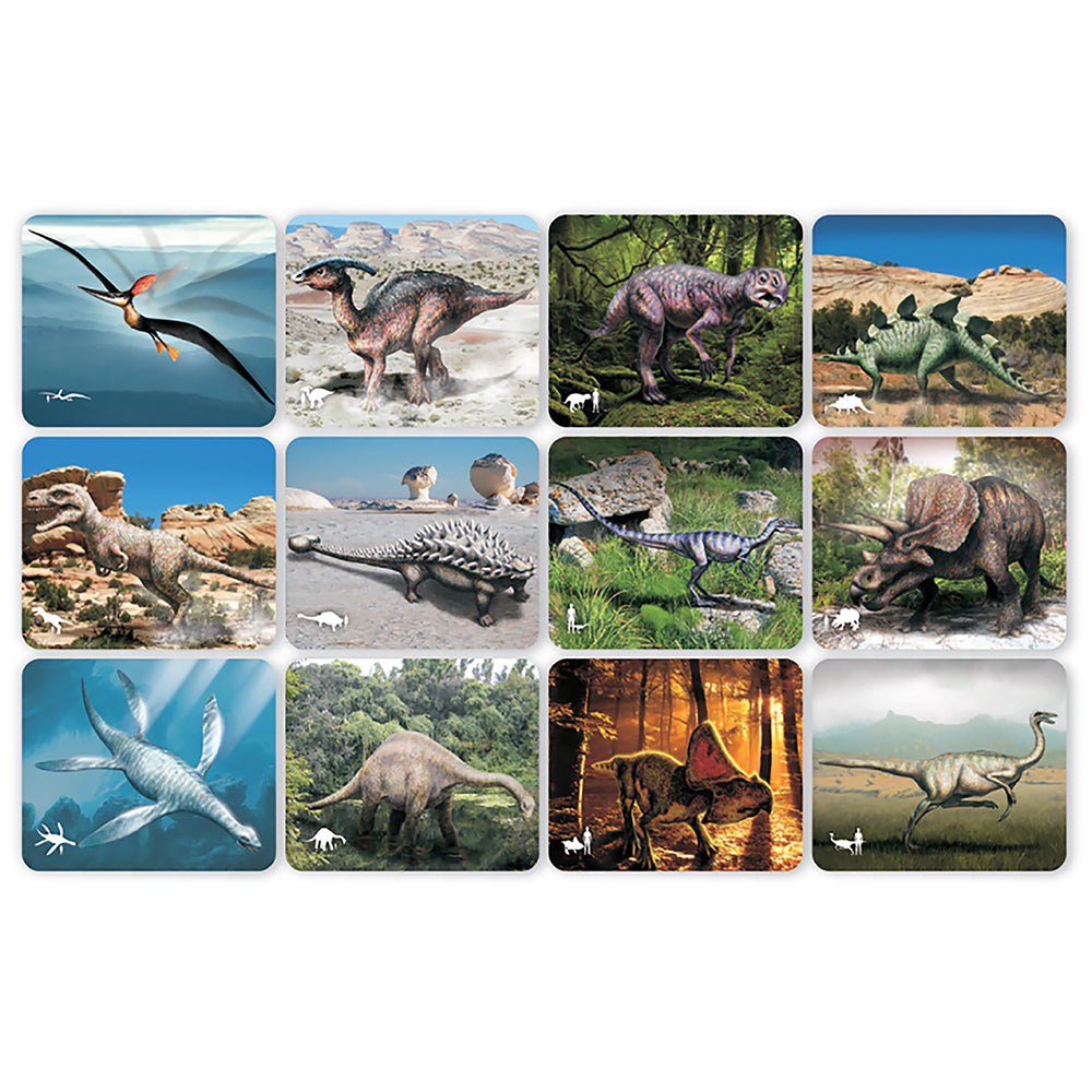 Dinosaur Picture Cards