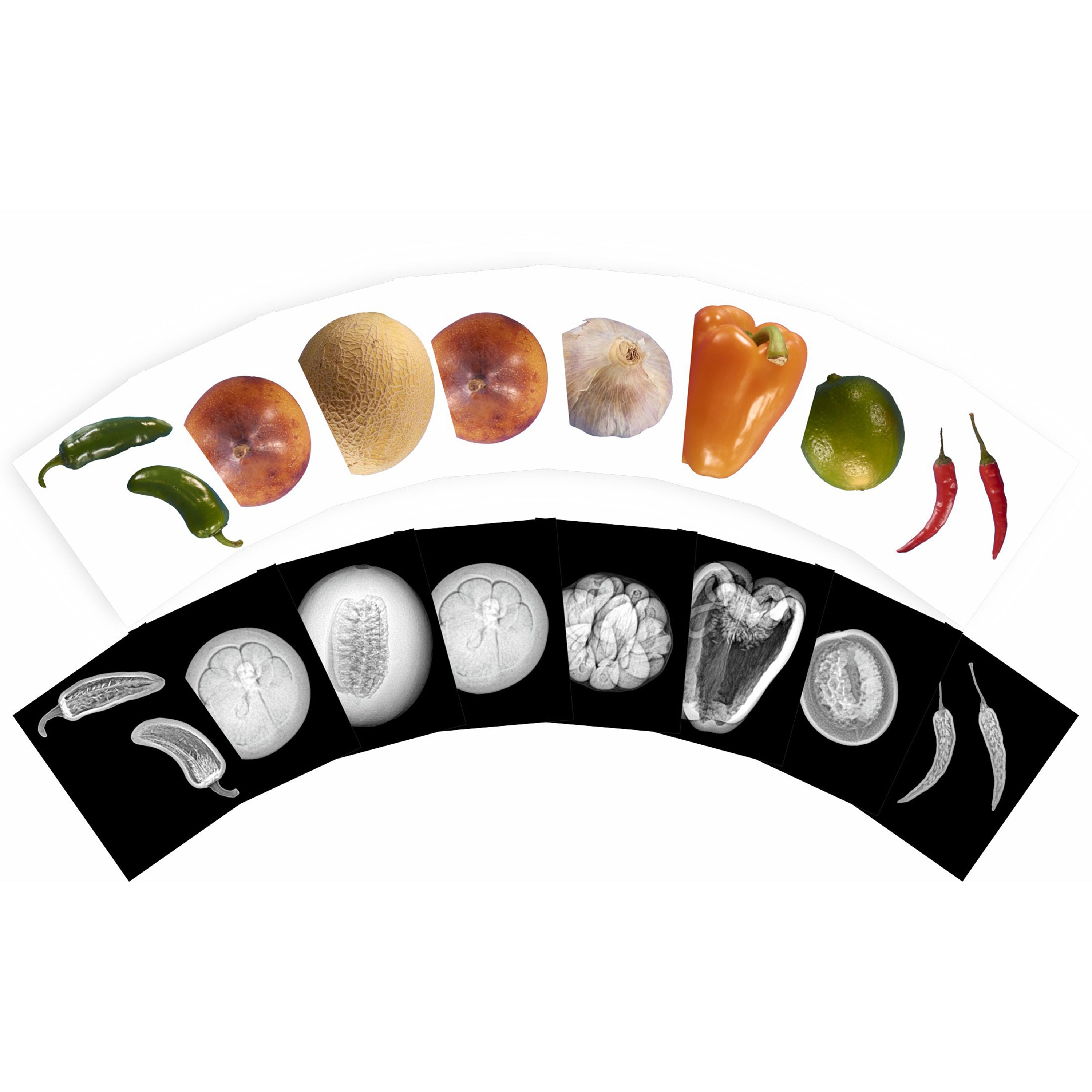 Fruit and vegetable illustrations on a white background