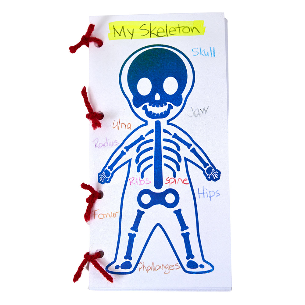 Identifying Internal Body Components with Look Inside Me Paint Sheets