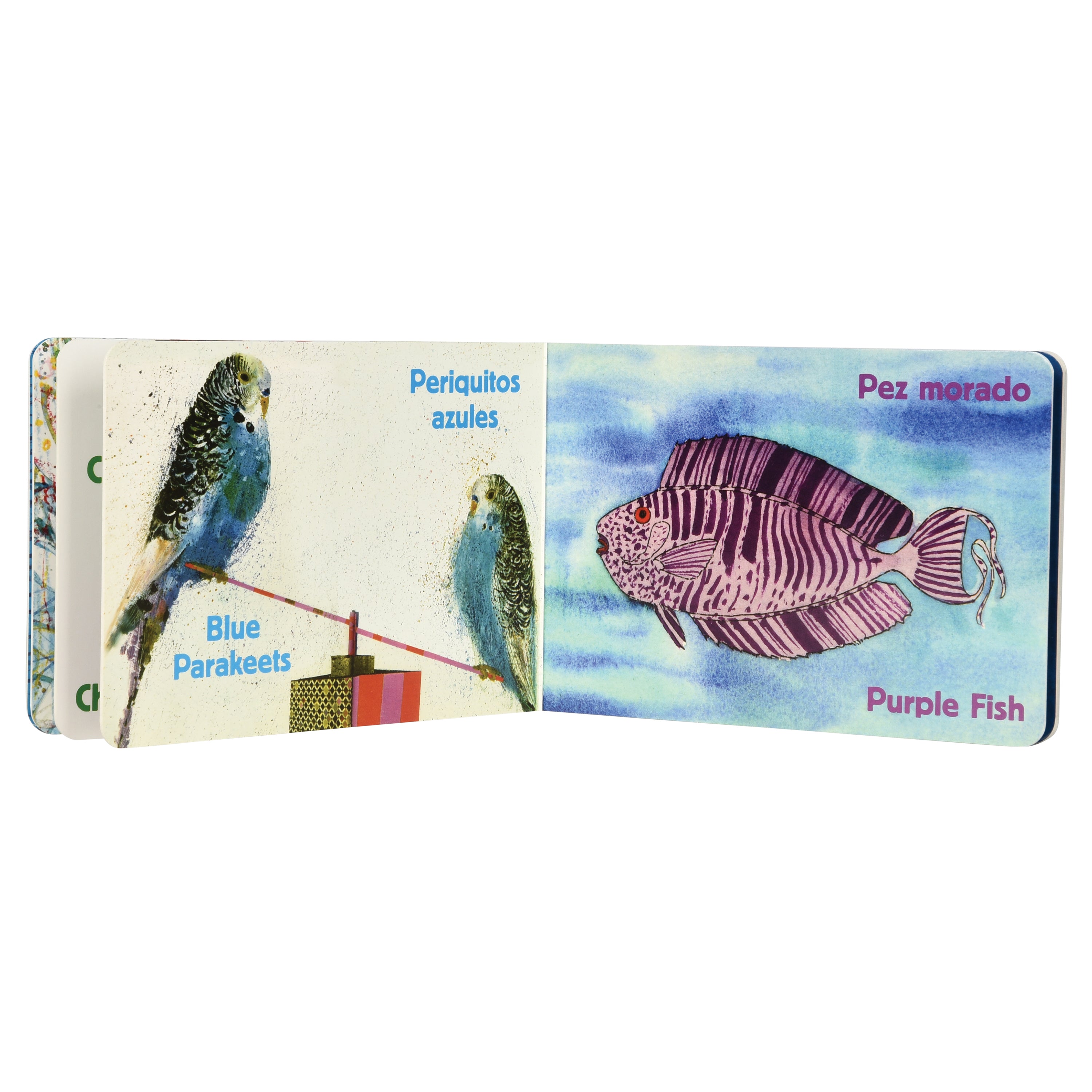 An open children's educational book showing illustrated blue parakeets on the left page and a purple fish on the right page, with Spanish labels reading 'Blue Parakeets' and 'Purple Fish'.