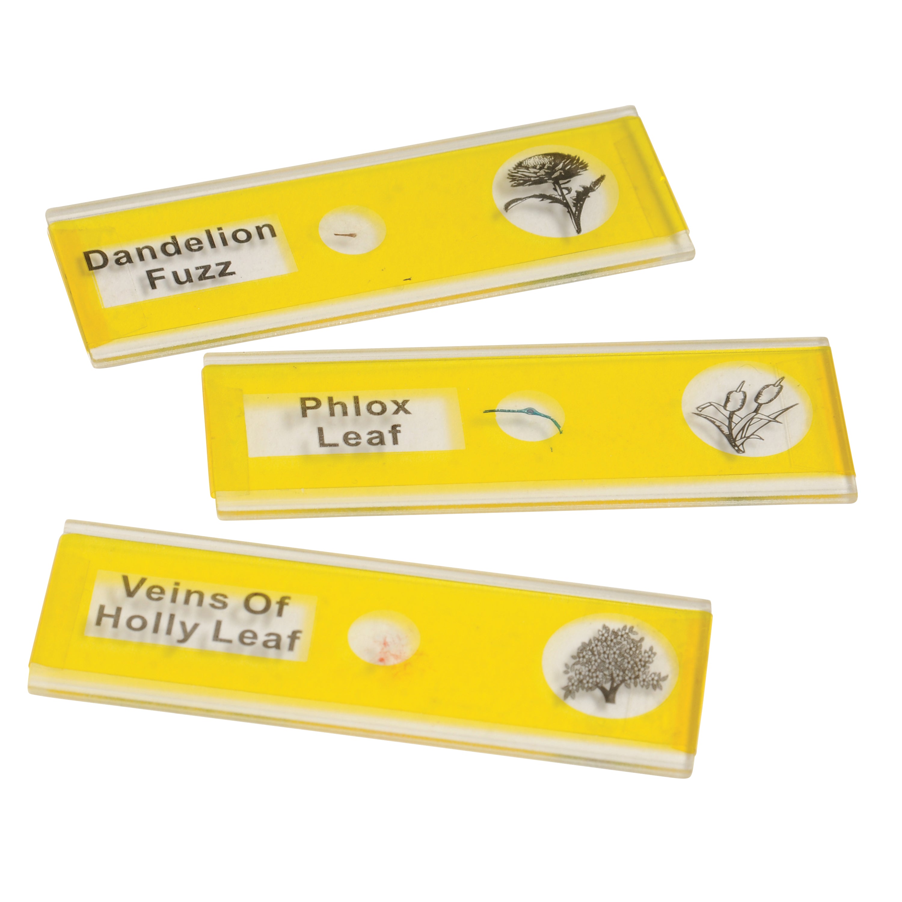 Prepared Slide Kit - Plants