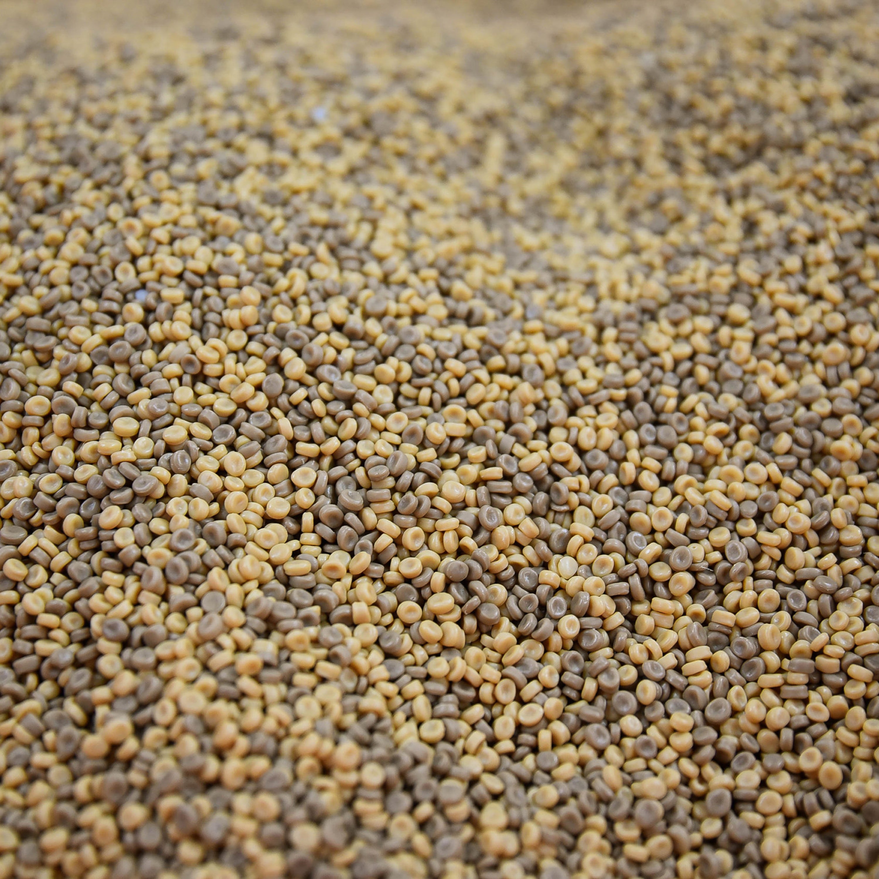 Close-up of small brown and yellow pellets.