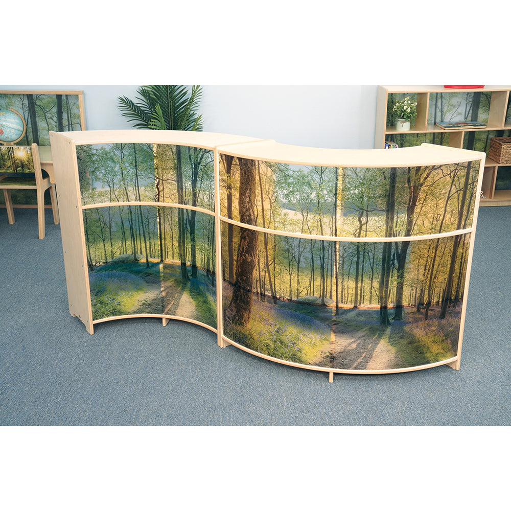 Curved room divider with forest design in an indoor setting