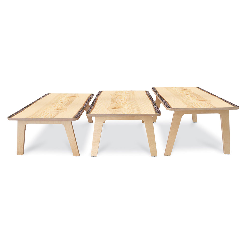 Nature View Live Edge Rectangle Table 20H