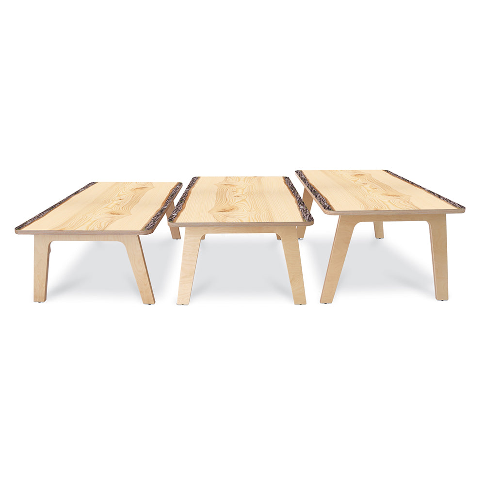 Nature View Live Edge Rectangle Table 18H