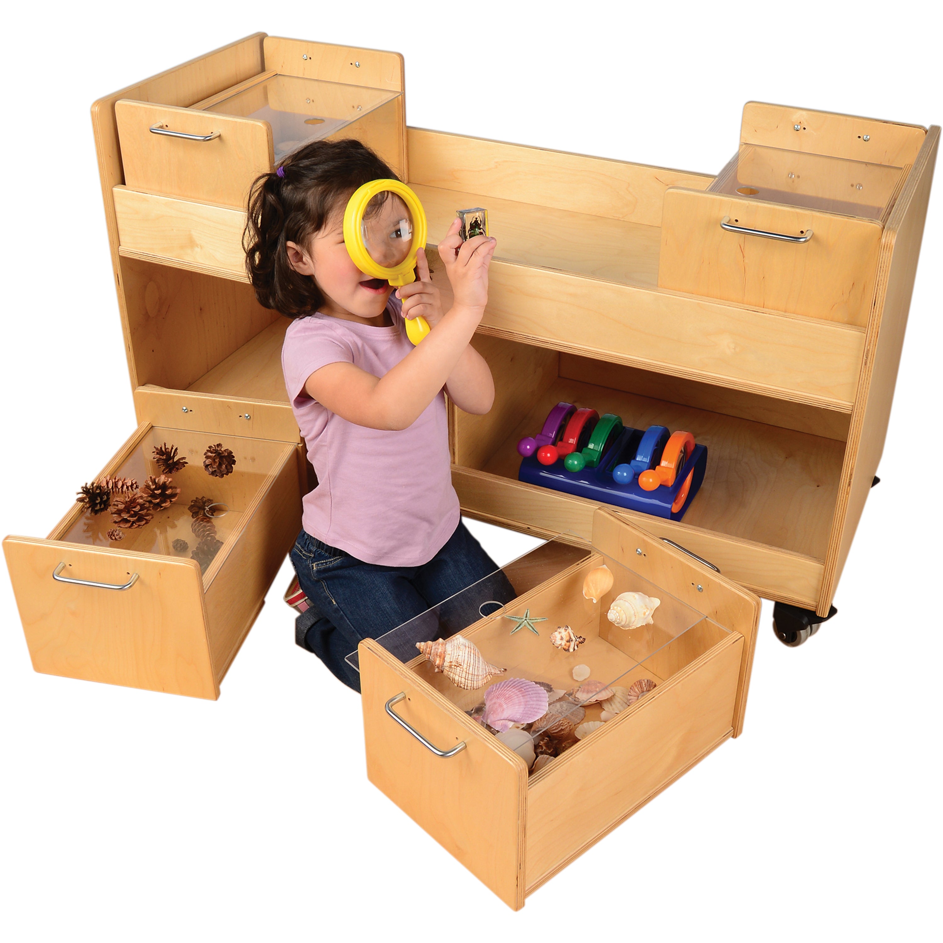 Mobile Science Cart