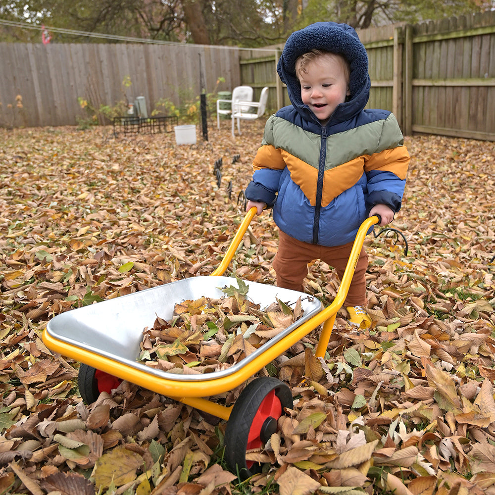 Toddler Collecting Leaves with Wheelbarrow