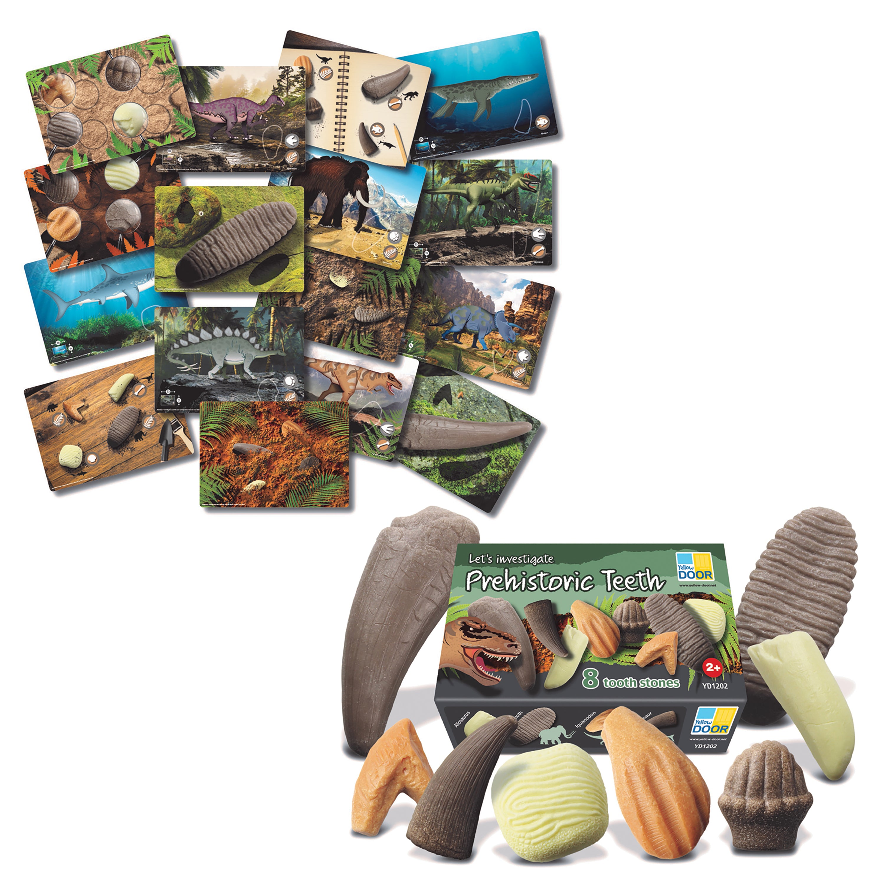 Prehistoric Teeth Exploration Set