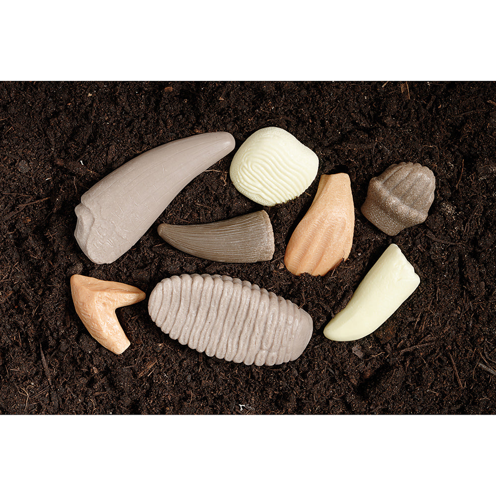 Replica Prehistoric Teeth Sensory Set