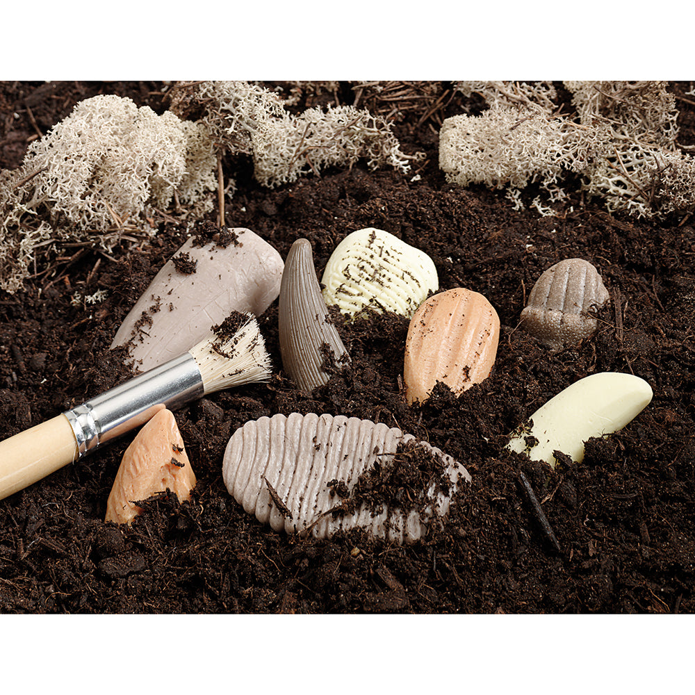 Sensory Play with Prehistoric Teeth Replicas