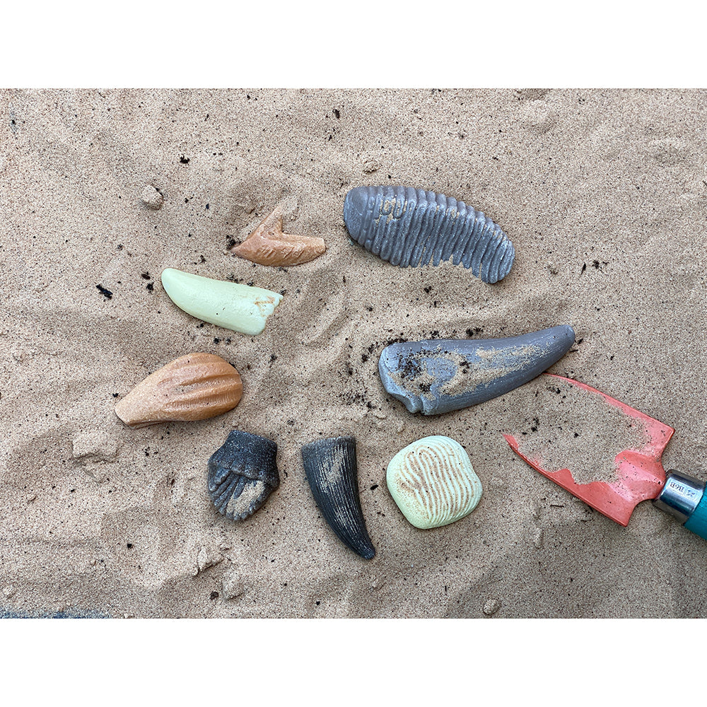Sand Sensory Play with Prehistoric Teeth