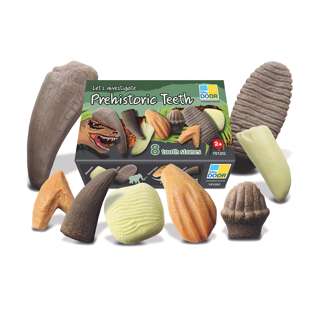 Let's Investigate - Prehistoric Teeth Set