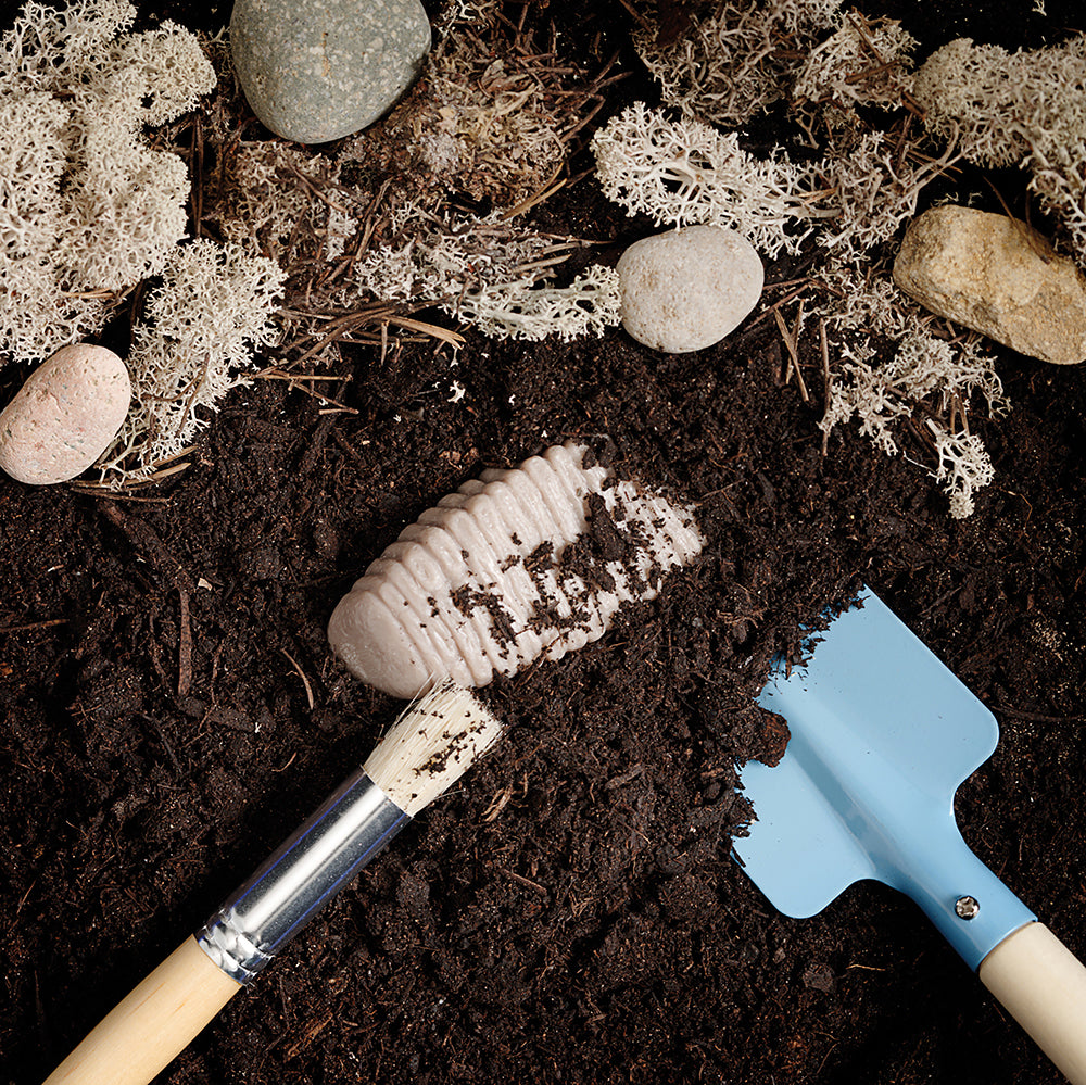 Digging Up Fossils