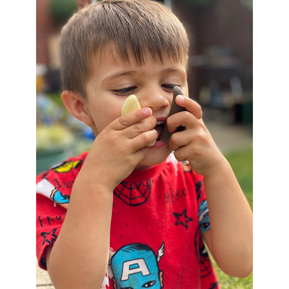 Pretend Play with Teeth Replicas