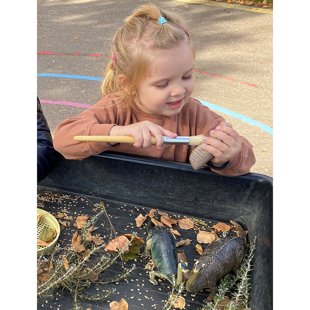 Preserving Fossils During Play