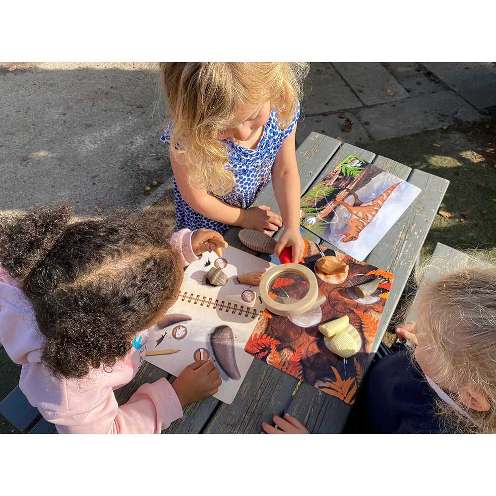 Using Photo Cards for Dinosaur Discovery