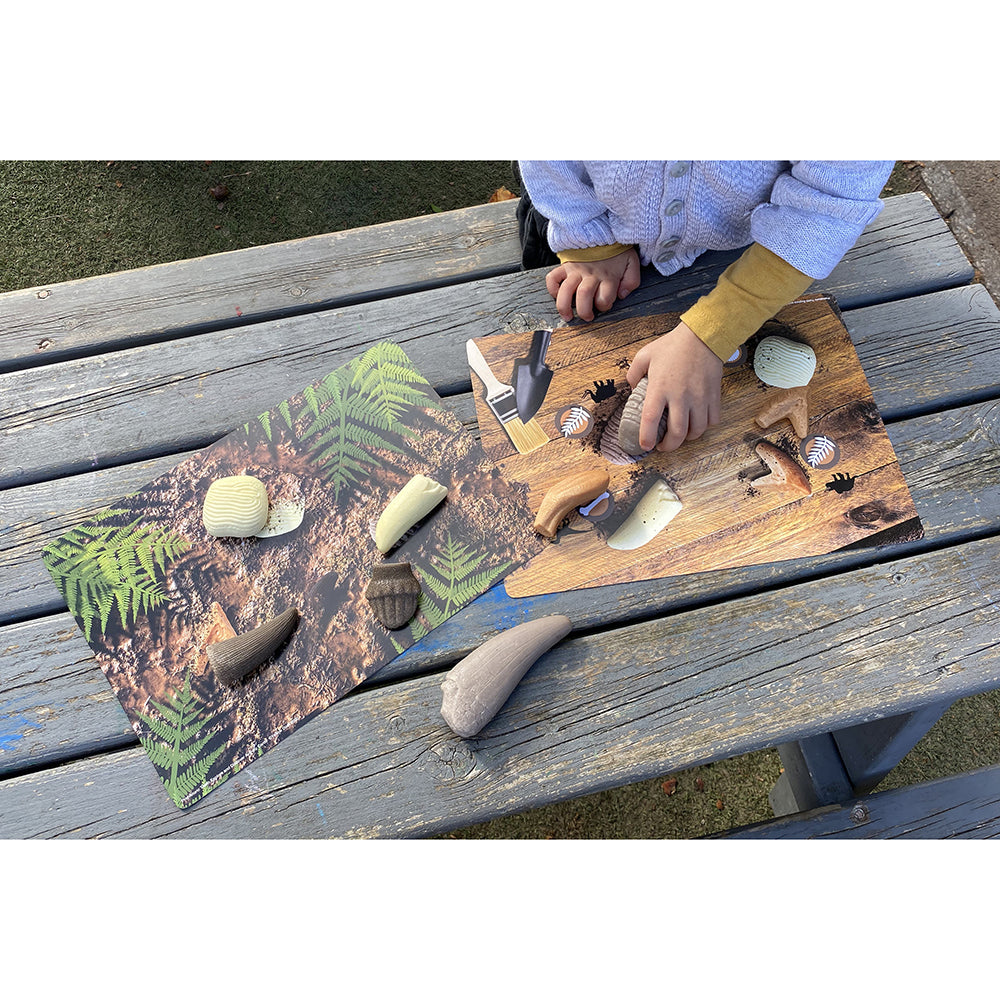 Scientific Exploration with Prehistoric Teeth and Discovery Cards