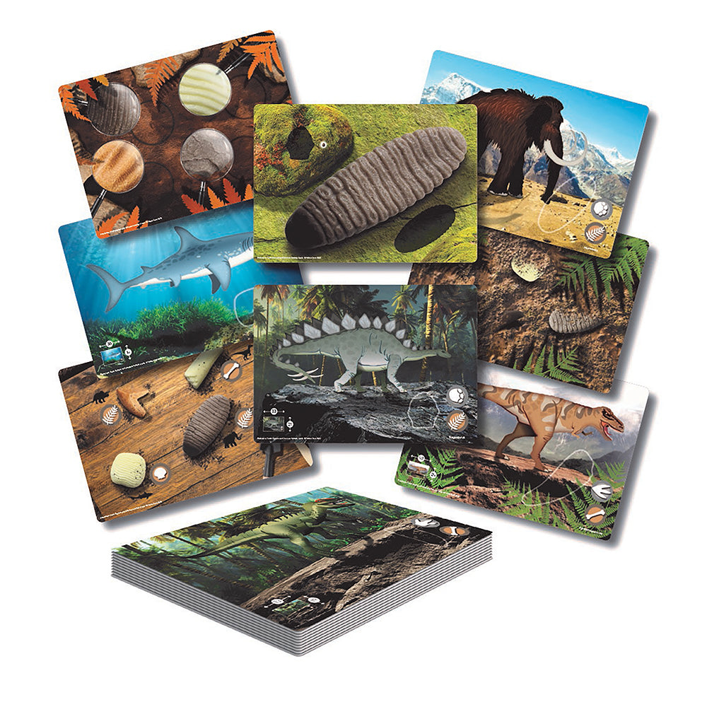 Set of Prehistoric Teeth Discover Cards