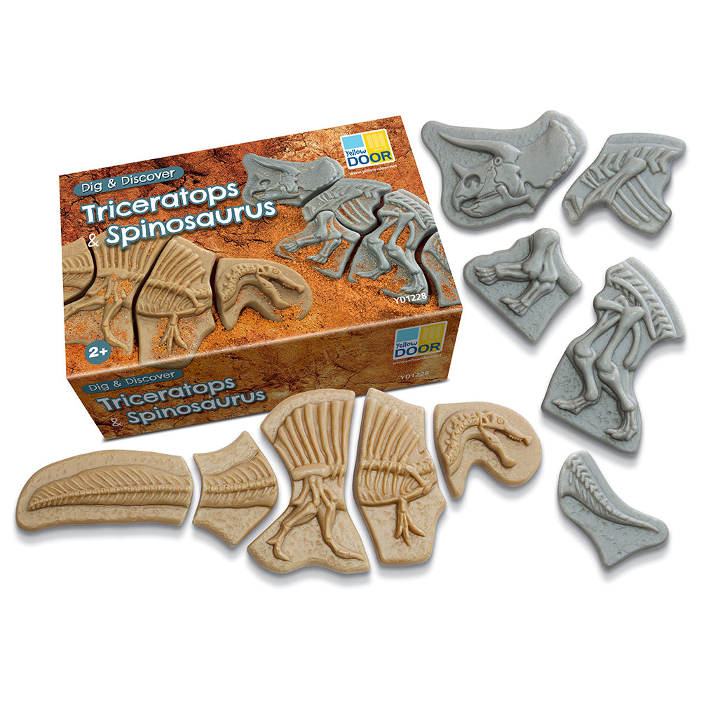 Triceratops & Spinosaurus Fossils