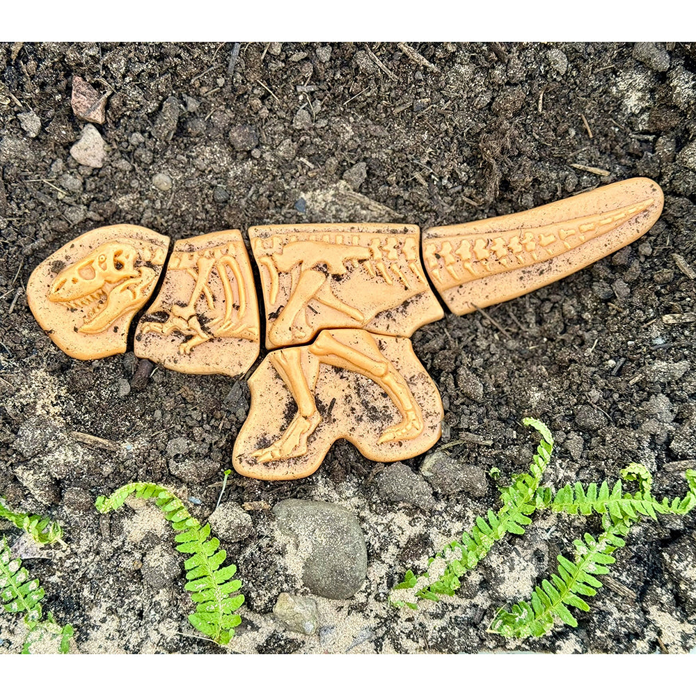 T-Rex Fossil Puzzle in Dirt