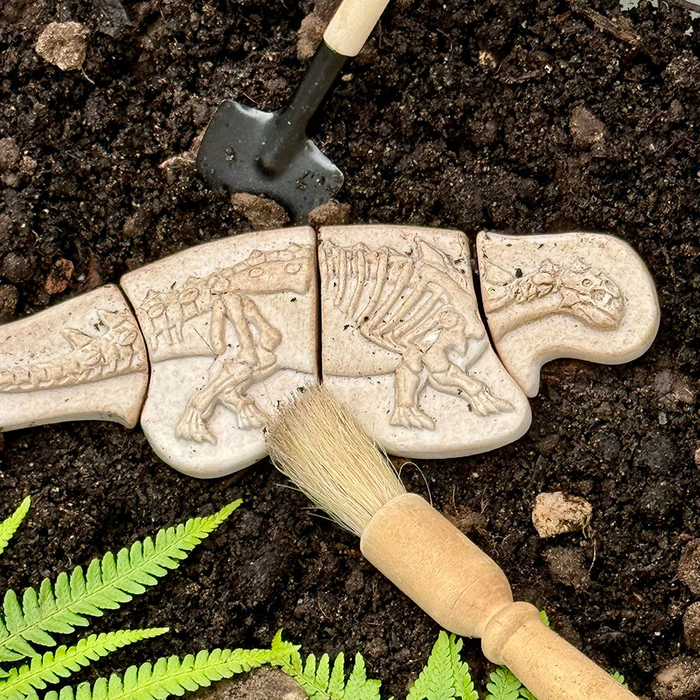 Dinosaur Fossil Puzzle In Dirt