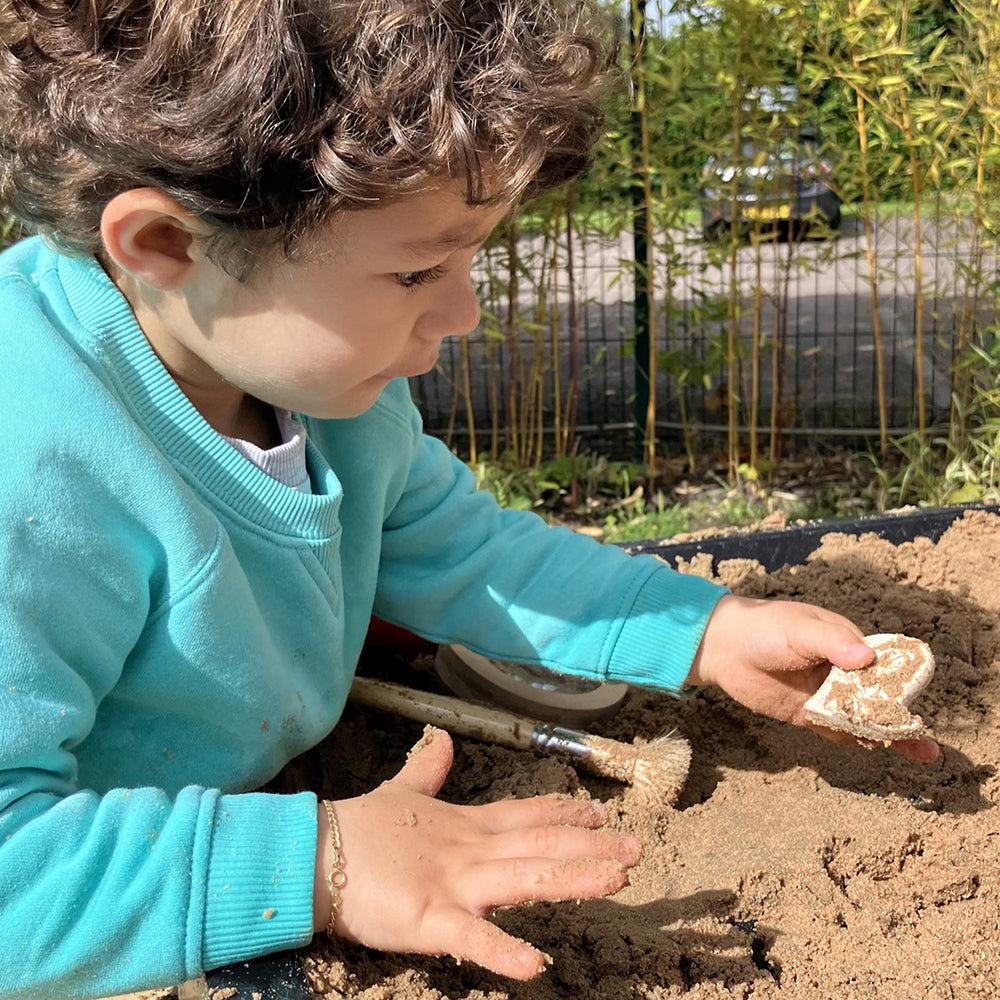Kid Digging Up Dinosaur Fossils in Dirt