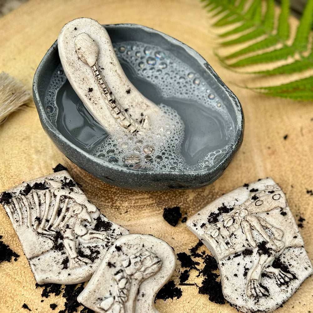 Washable Dinosaur Fossils