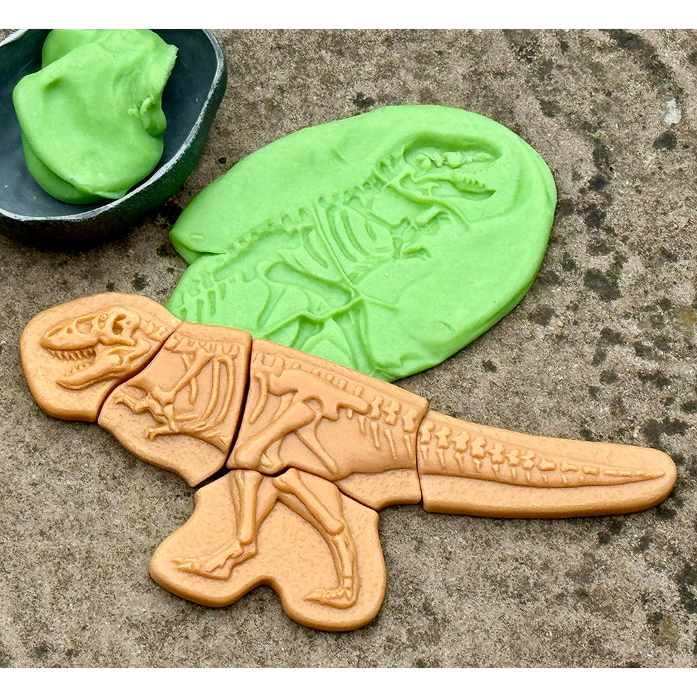 Using Dinosaur Fossil Pieces to Imprint in Modeling Dough