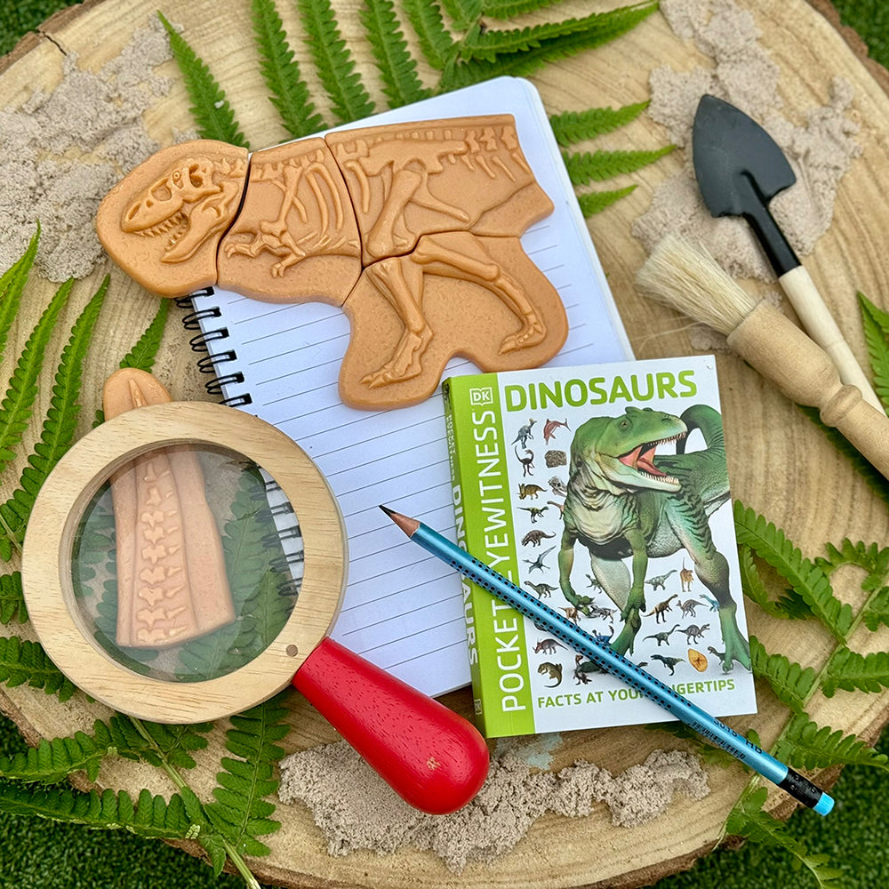 Learning About Dinosaurs with Fossil Puzzles