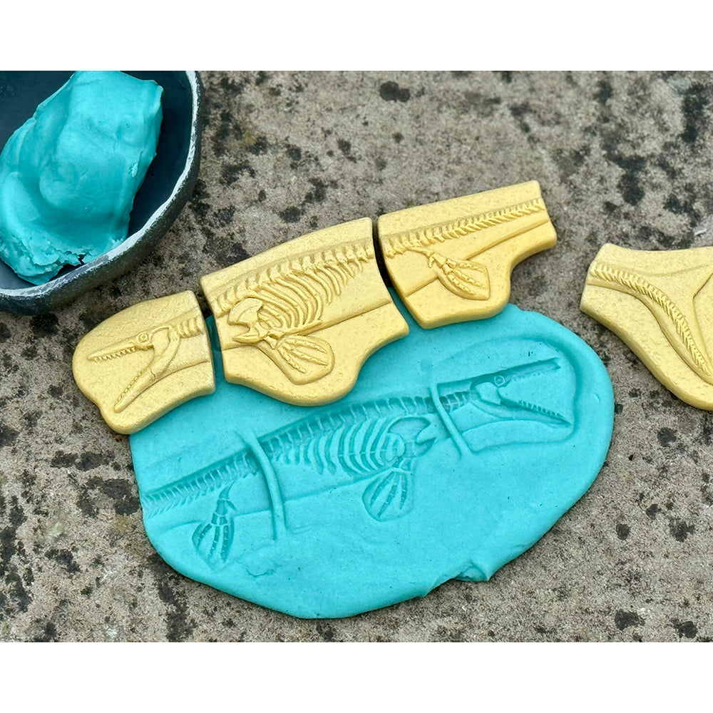 Using Dinosaur Fossil Pieces to Imprint in Modeling Dough