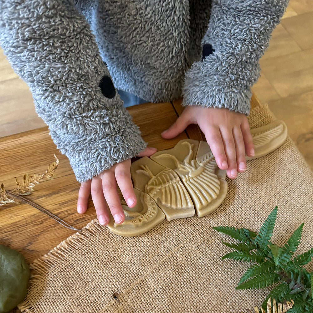 Putting Together Dinosaur Puzzle Pieces