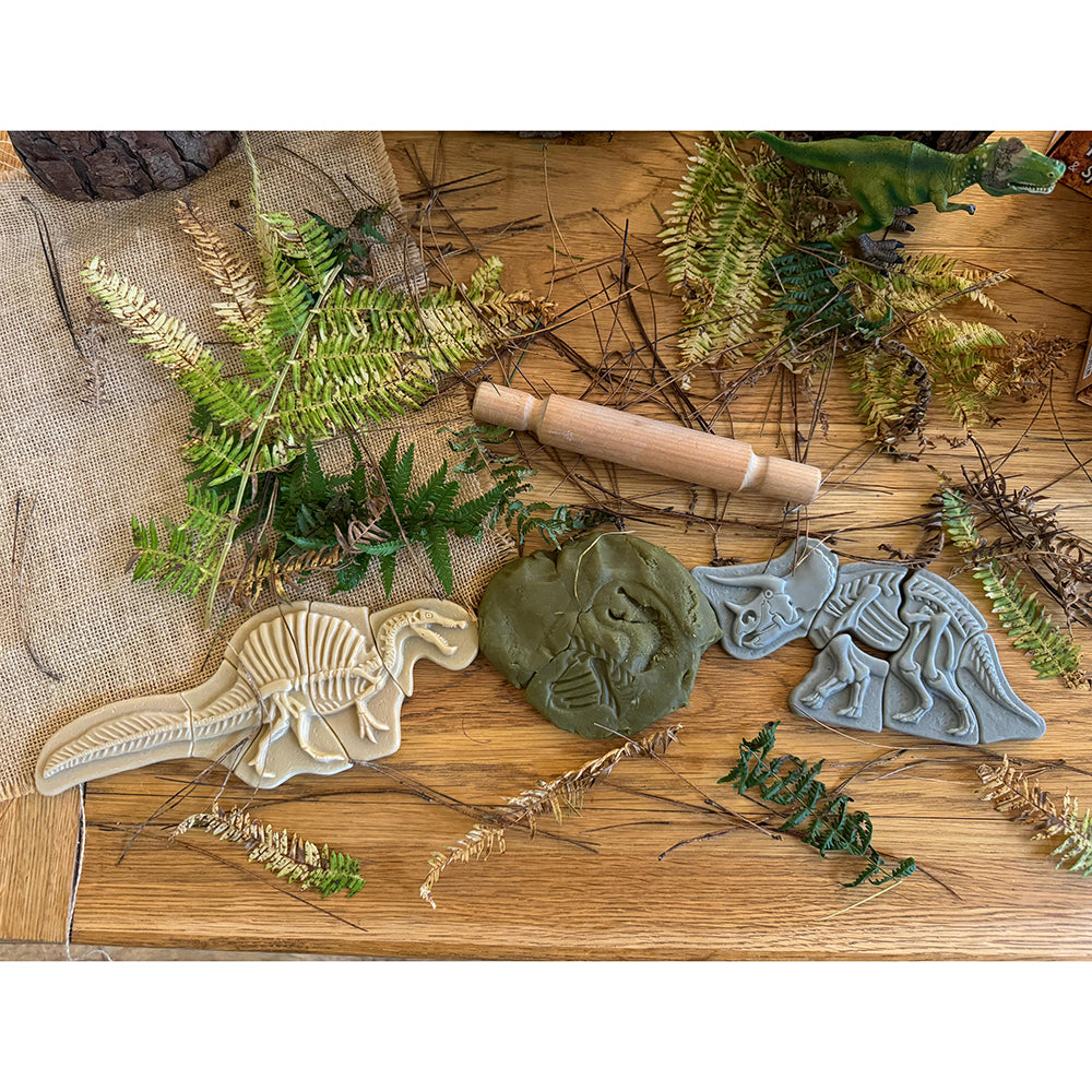 Using Dinosaur Fossil Pieces to Imprint in Modeling Dough