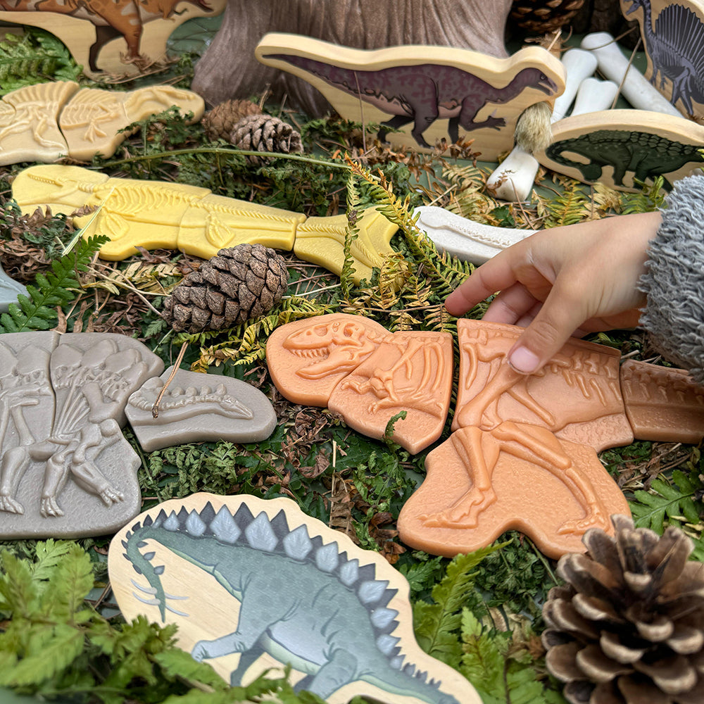 Dinosaur Fossil Puzzle Set in Nature