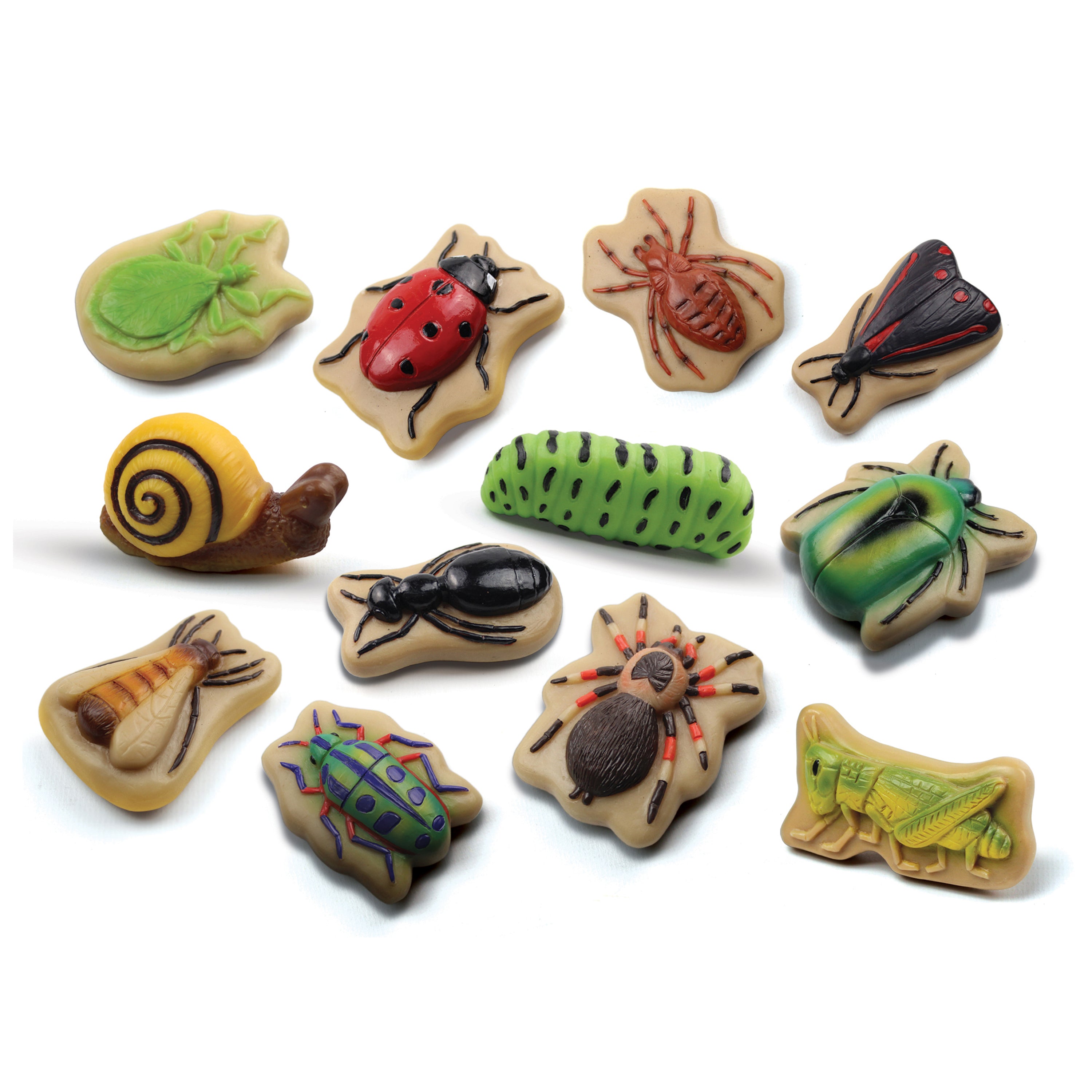 Assorted insect-shaped stones on a white background