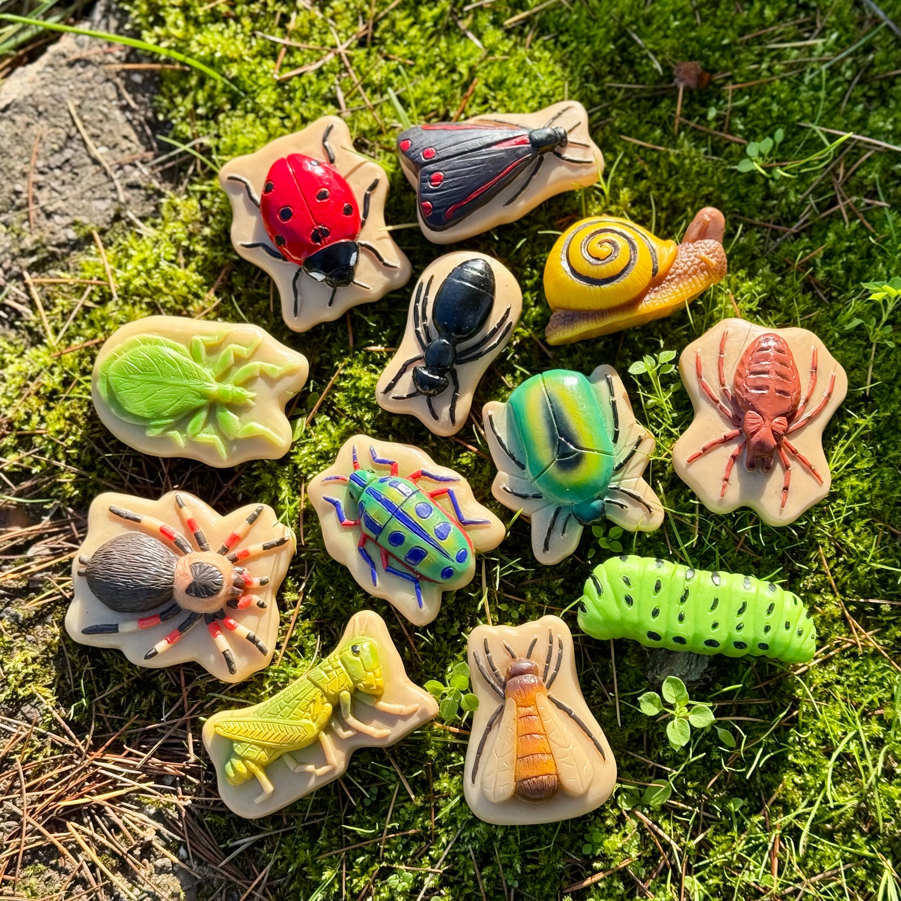 Assorted insect-shaped stones on a grassy background