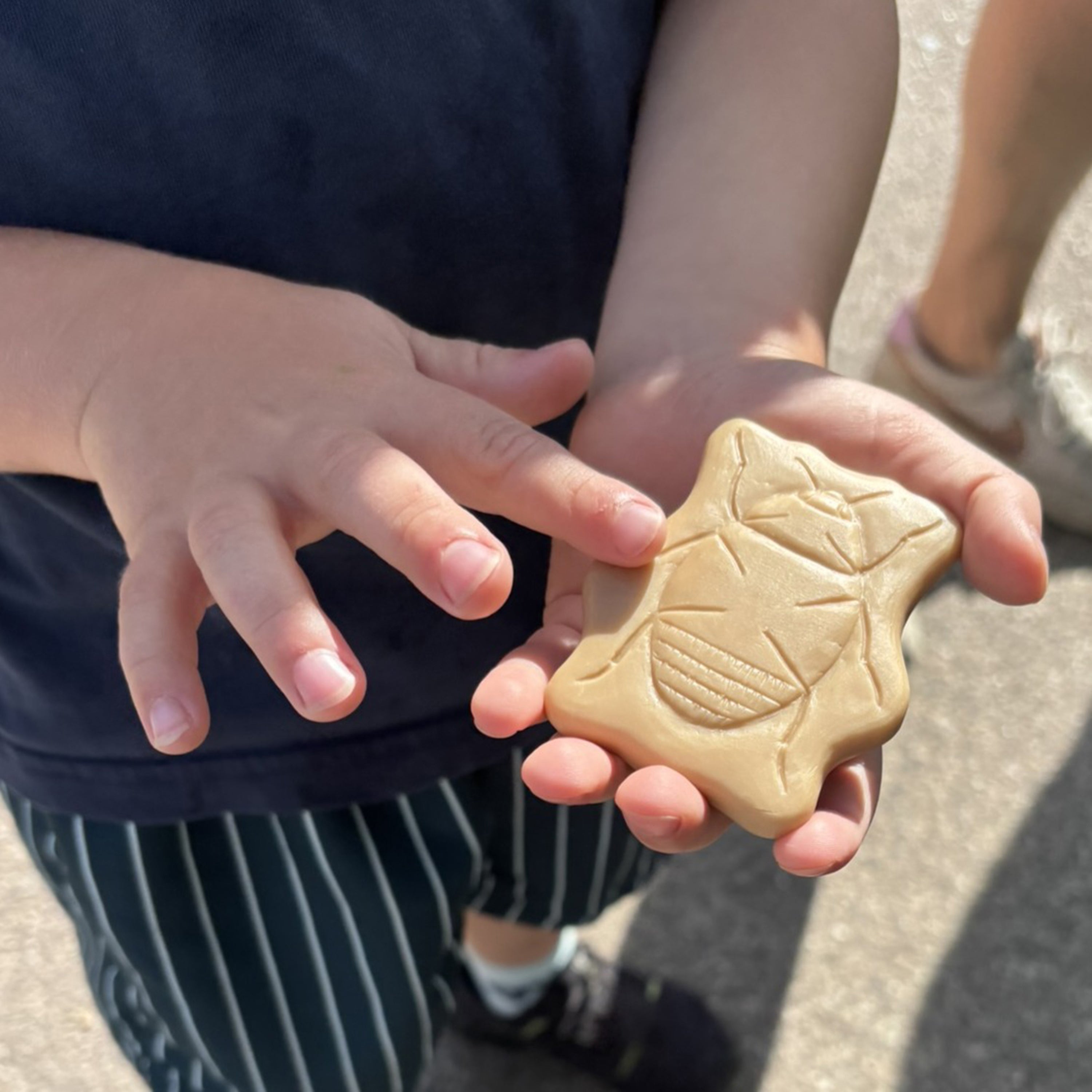 Child holding a insect-shaped stone outdoors
