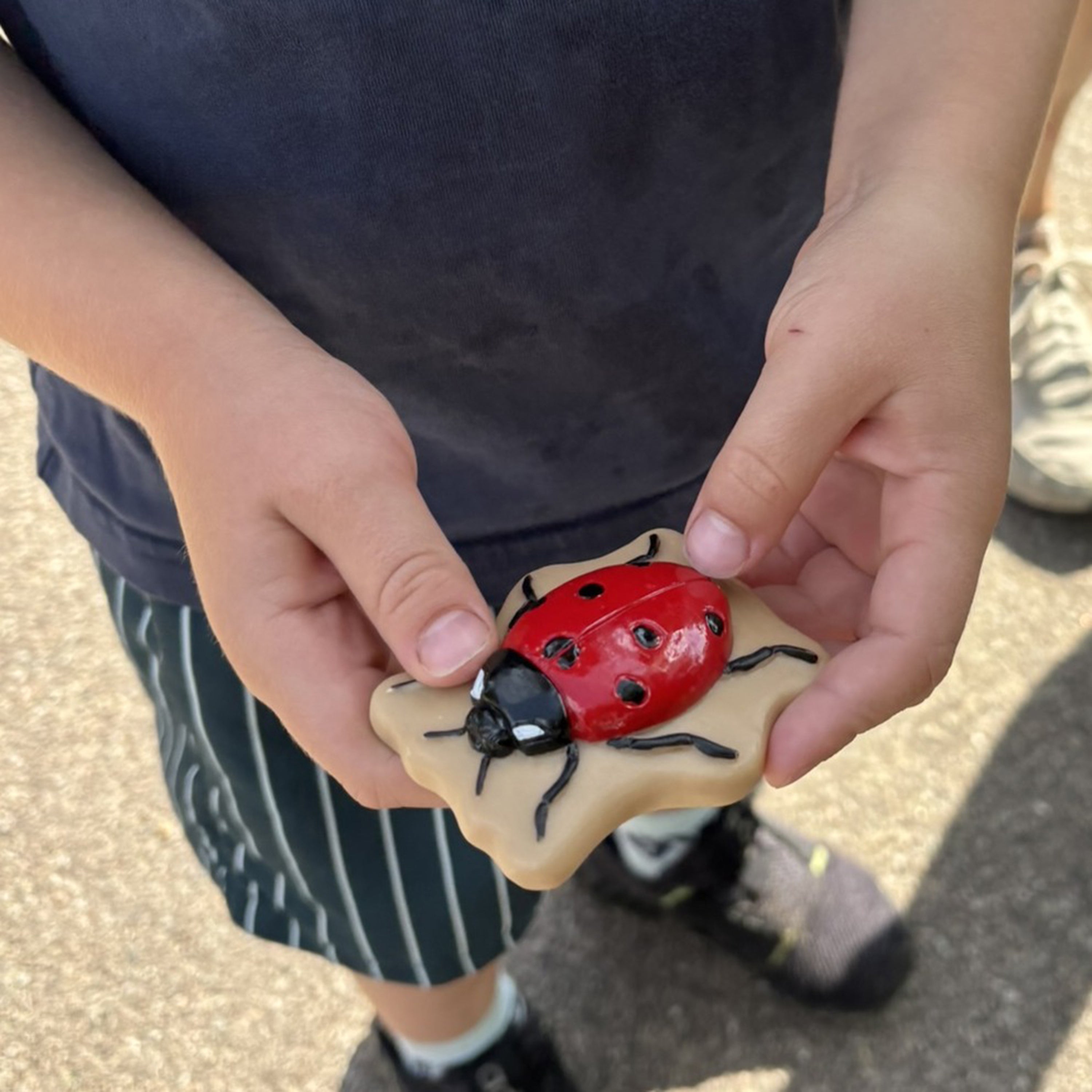 Child holding a rock with a painted ladybug design outdoors.