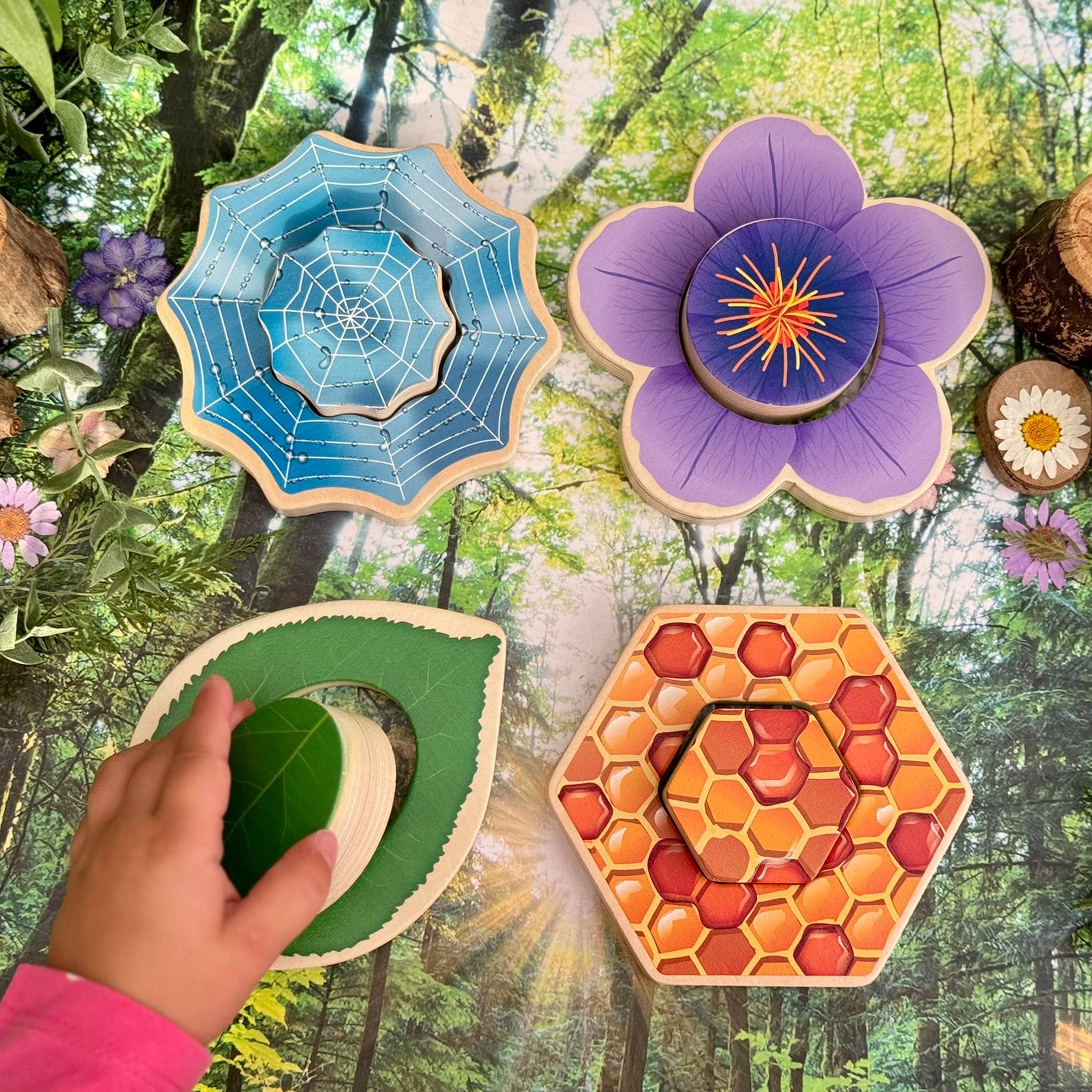 Four wooden toys shaped like a spider web, flower, leaf, and honeycomb with a hand holding one of them against a forest background.