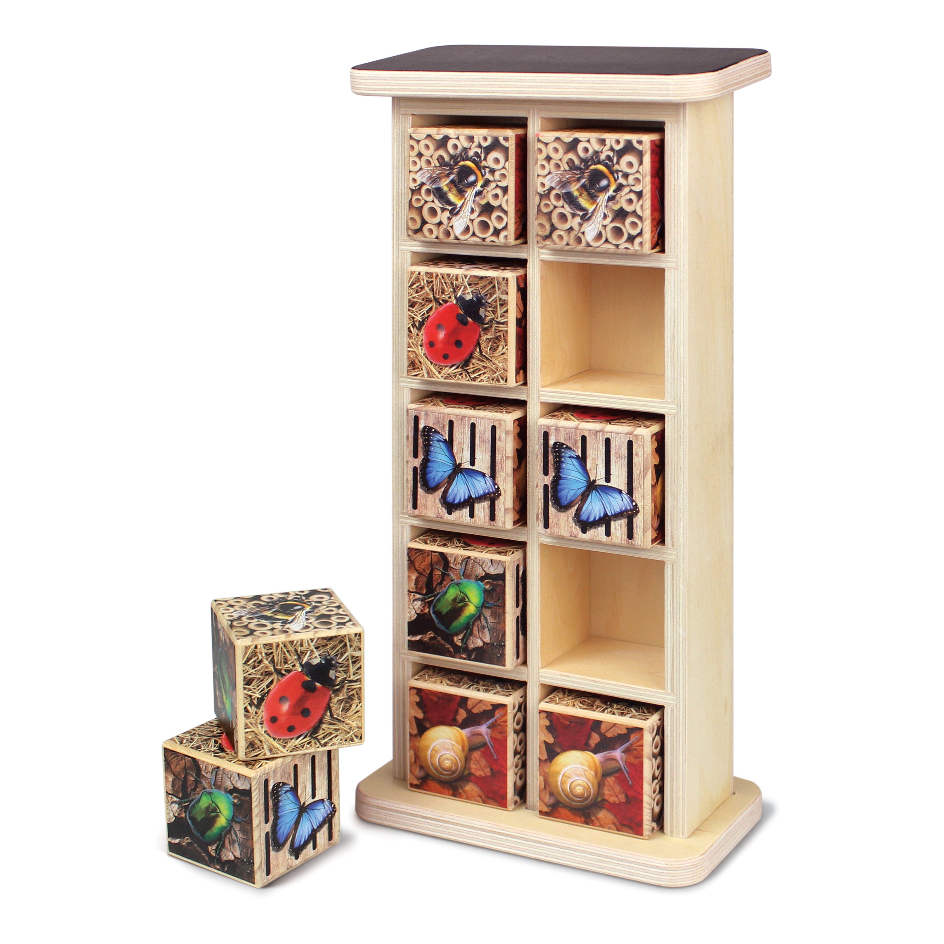 Wooden educational toy set with colorful boxes on a white background