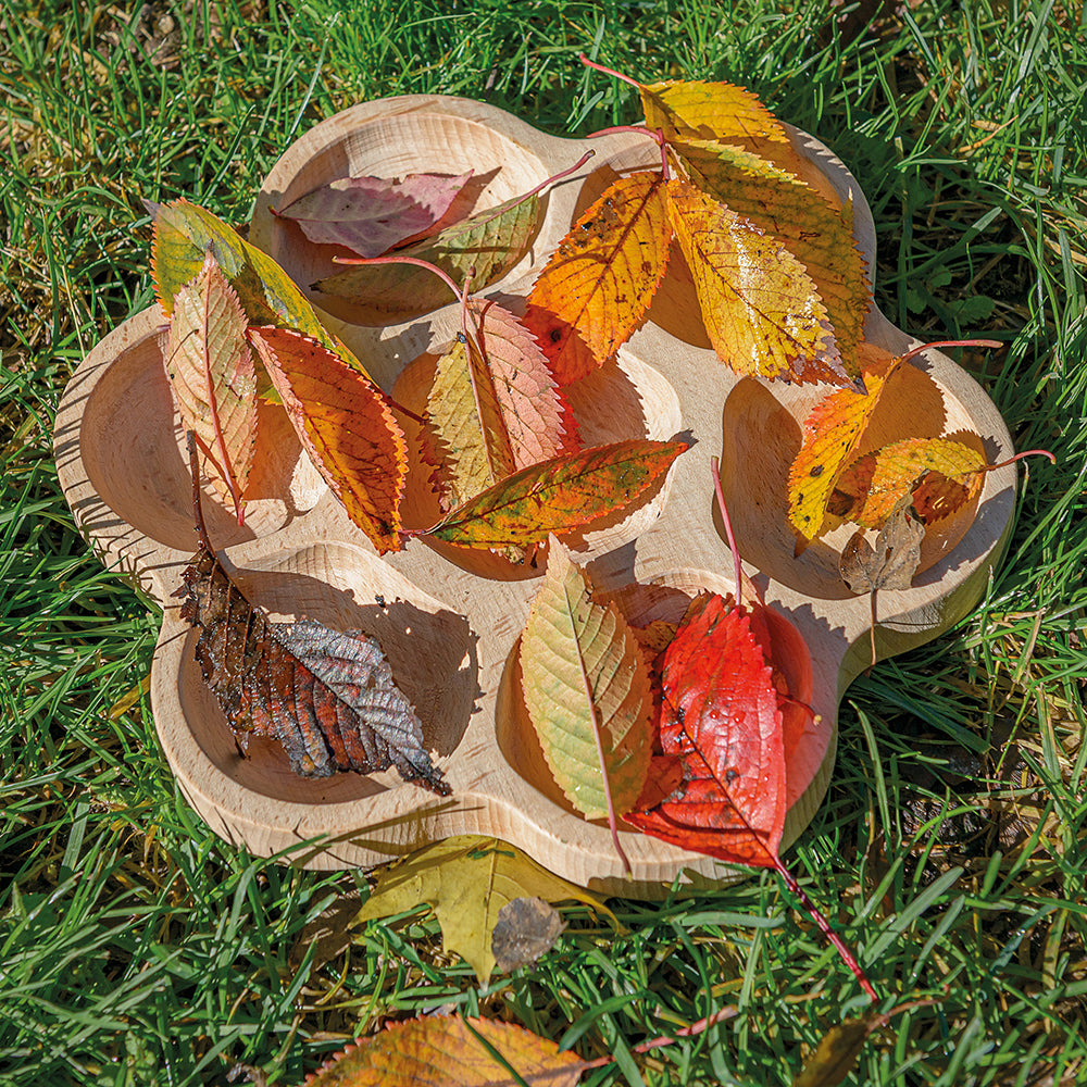 Wooden Flower Sorting Tray Covered In Colorful Leaves