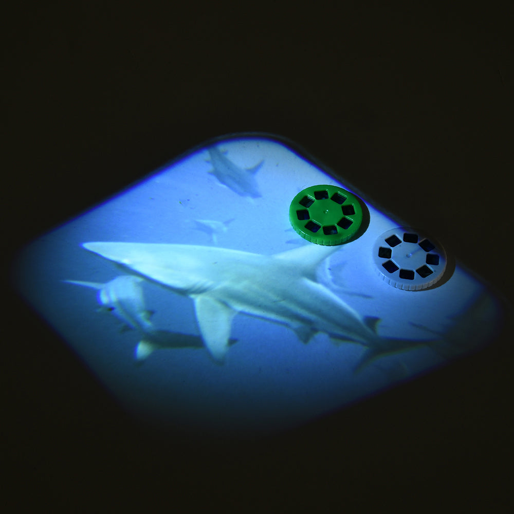 Sharks Projector