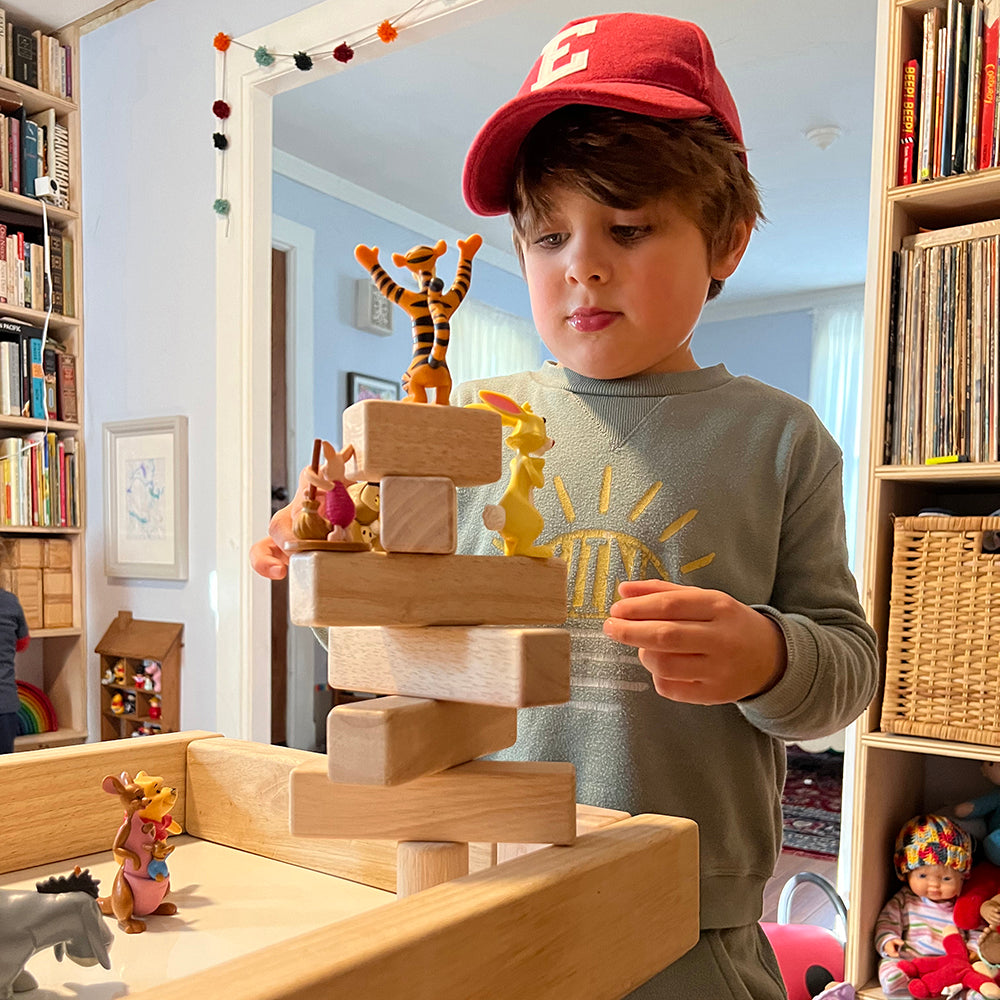 Innovative Play Time with Beginner Unit Blocks