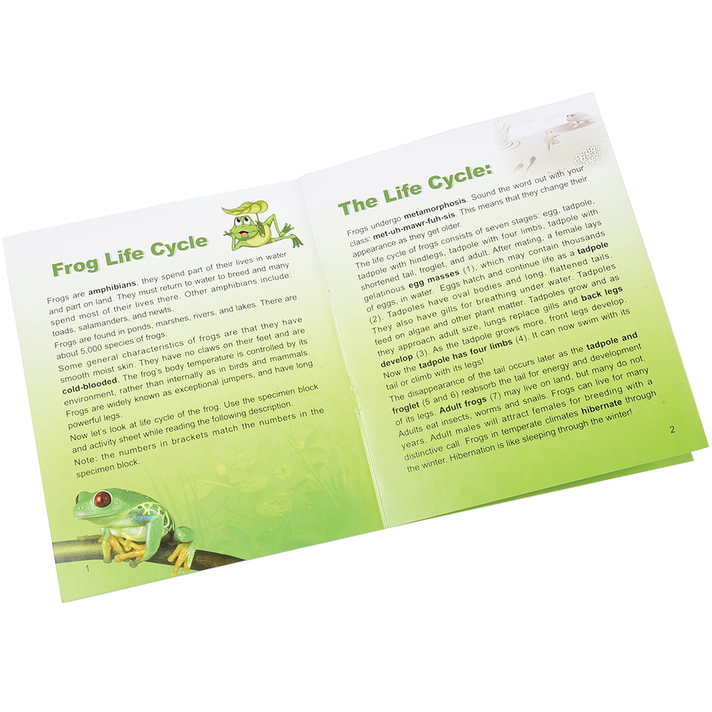 Frog Cycle Guide Book