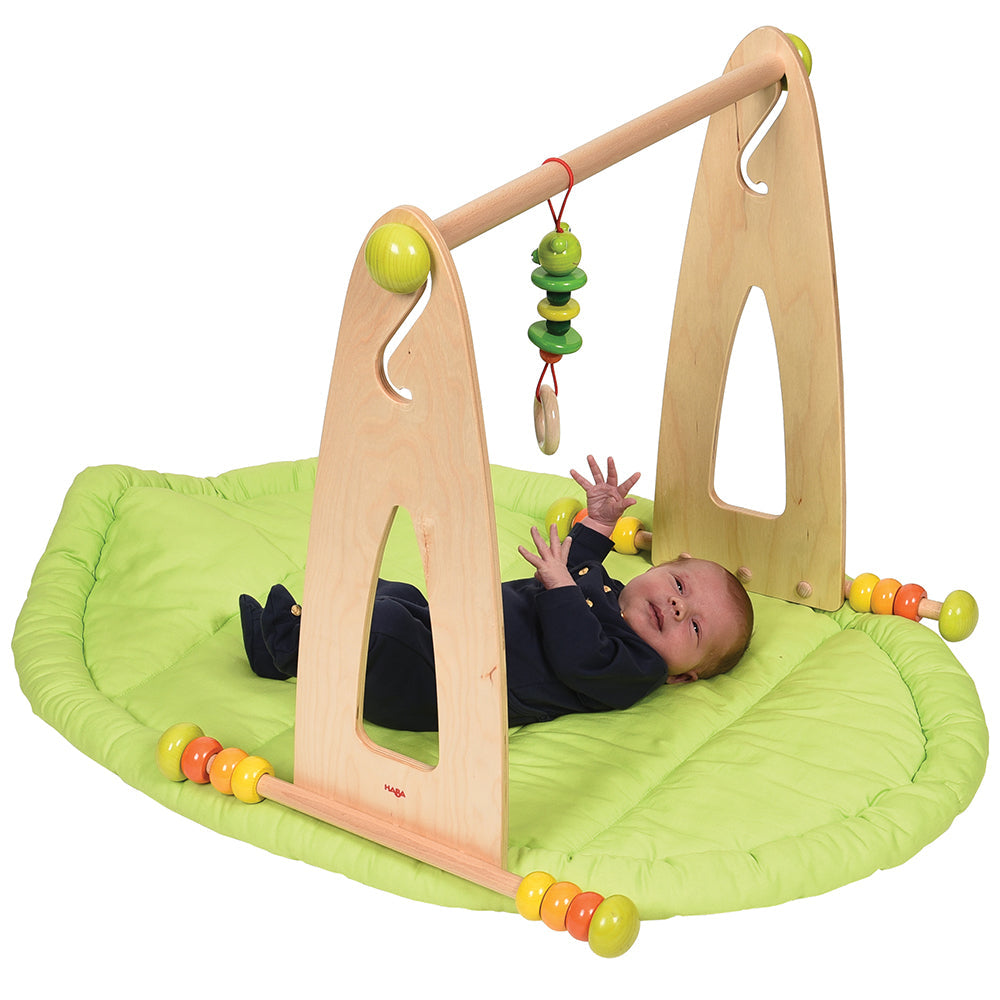 Infant Play Mat