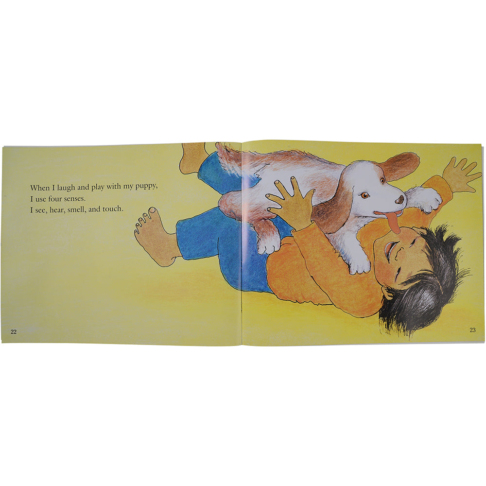 Look And Learn Big Book-My Five Senses Big Book