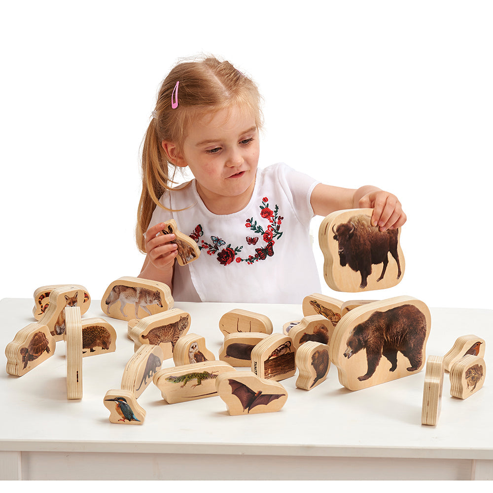 Wooden Forest Animals