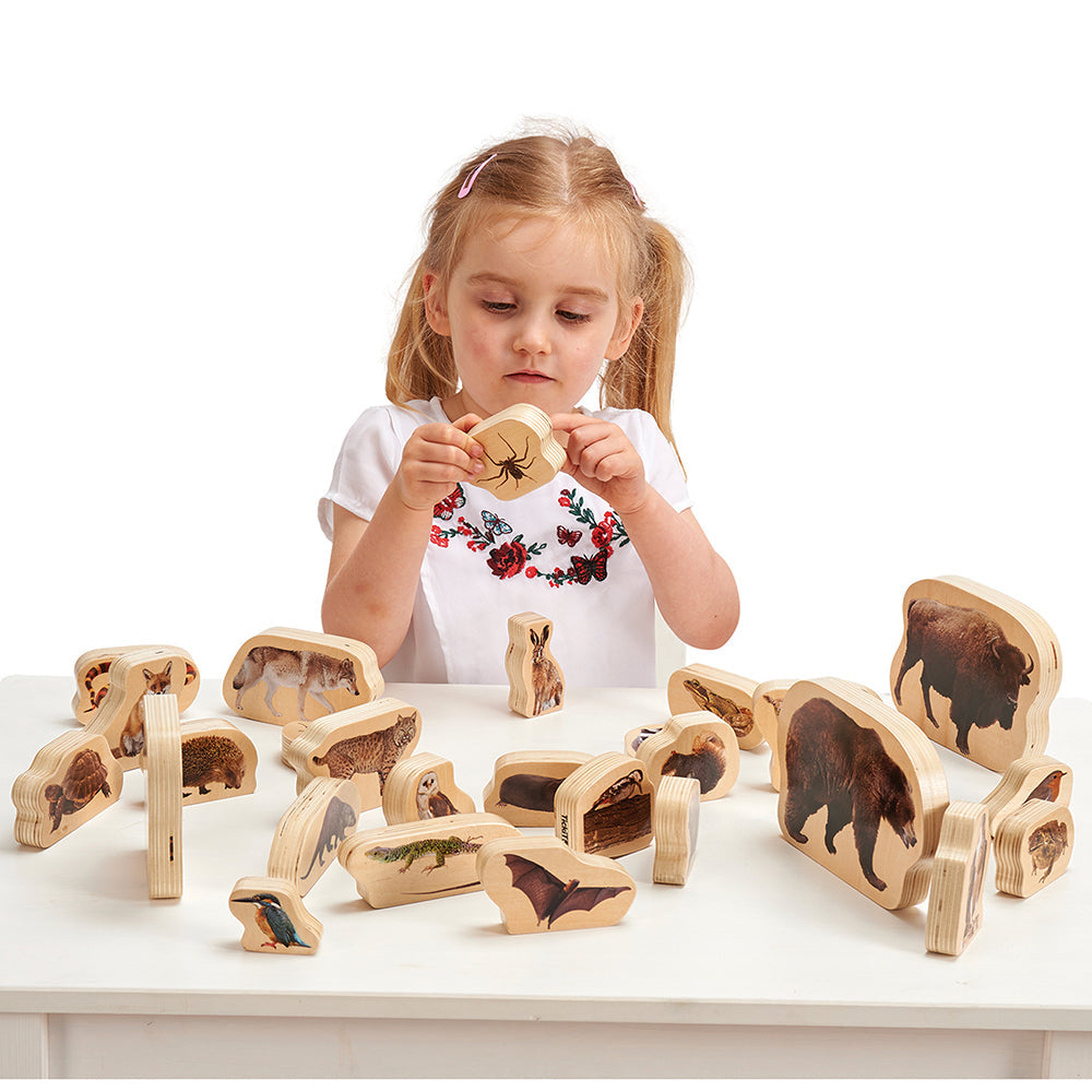 Wooden Forest Animals