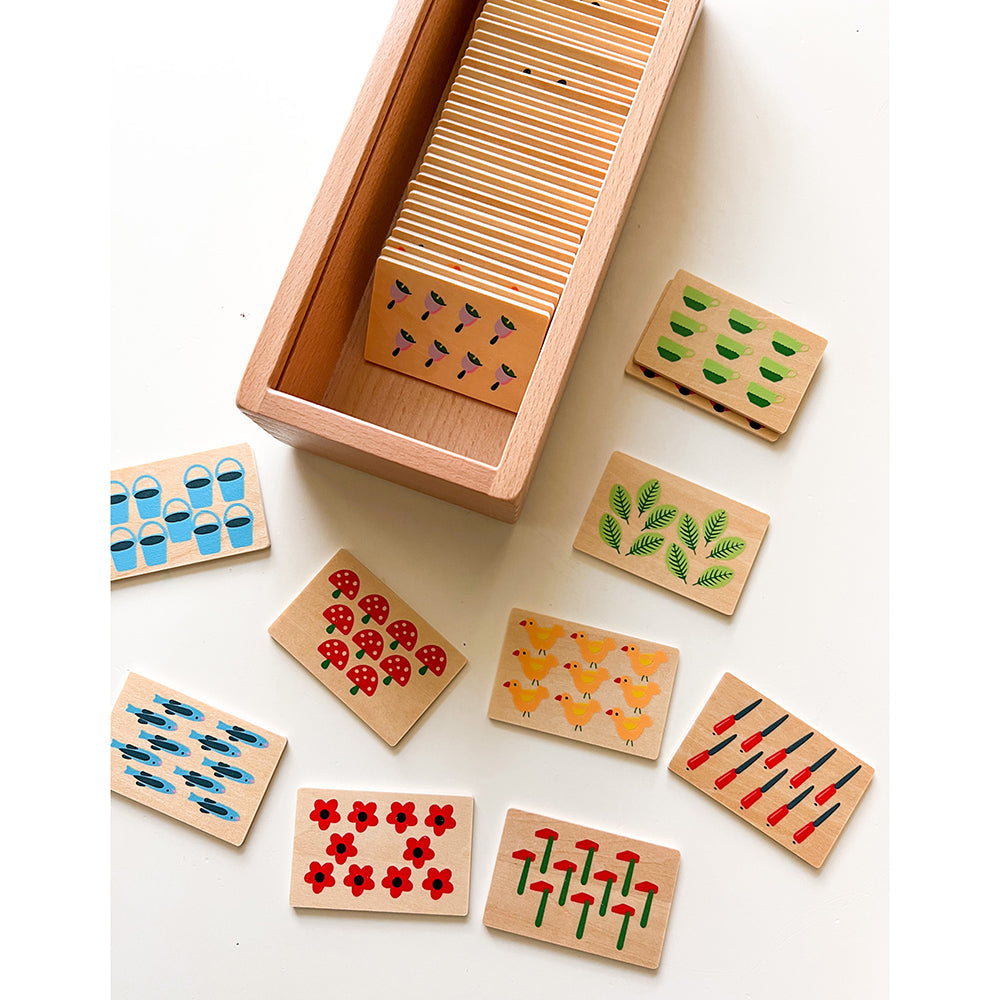 Sorting Box Combo for Color & Counting