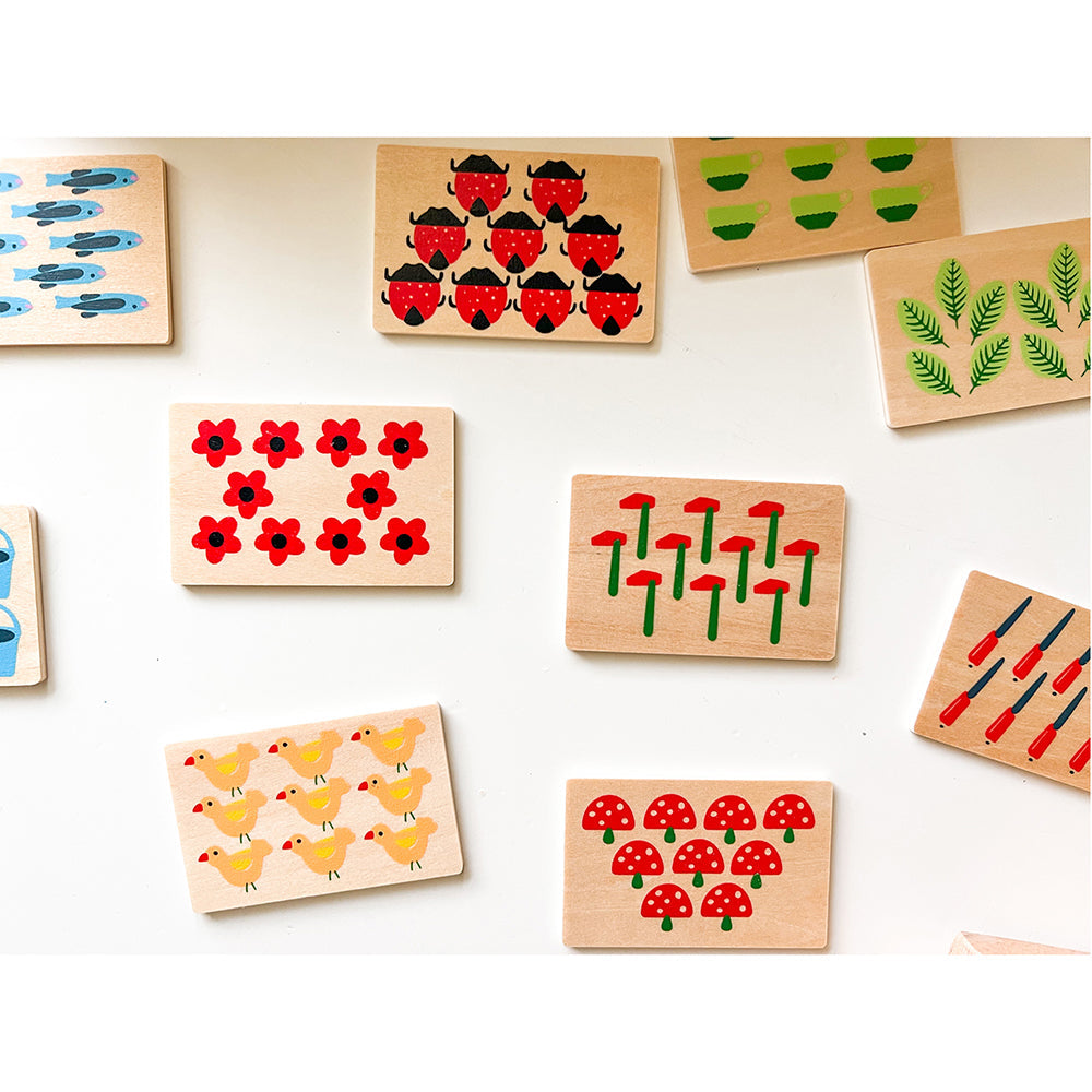 Sorting Box Combo for Counting